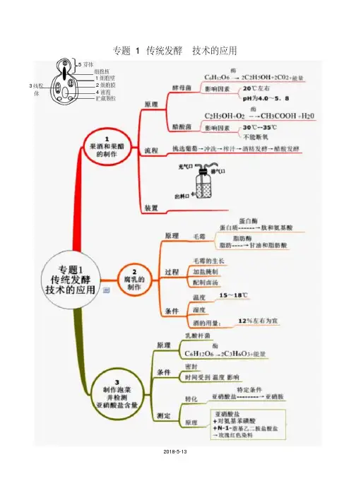 《传统发酵技术的应用》思维导图