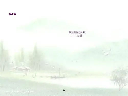 输送血液的泵——心脏ppt课件