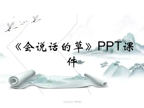 《会说话的草》PPT课件