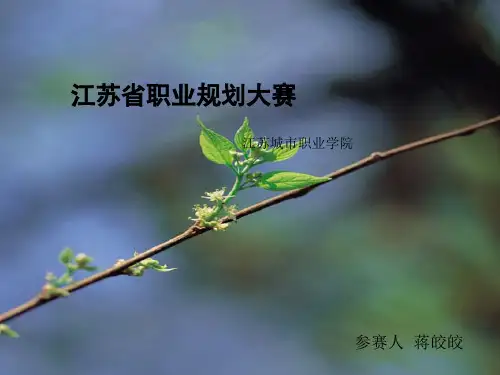 职业规划57.ppt