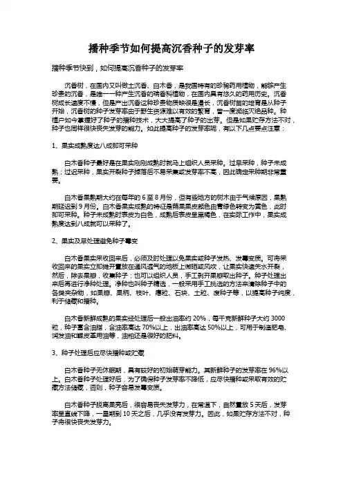 播种季节如何提高沉香种子的发芽率