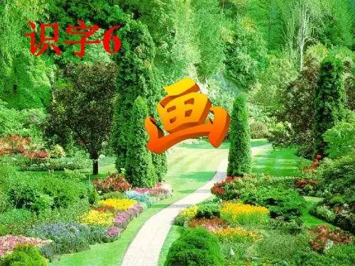 识字6 画