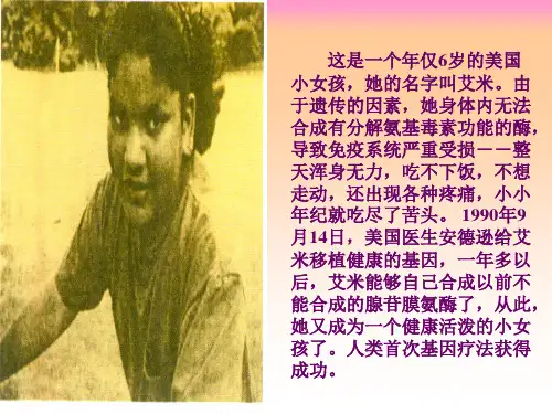 【初中生物】基因工程PPT课件7