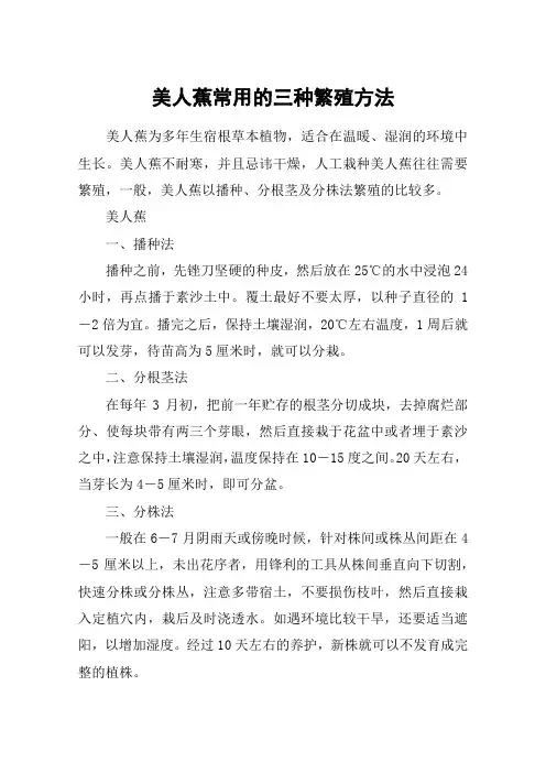 美人蕉常用的三种繁殖方法