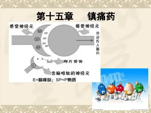 第16章镇痛药