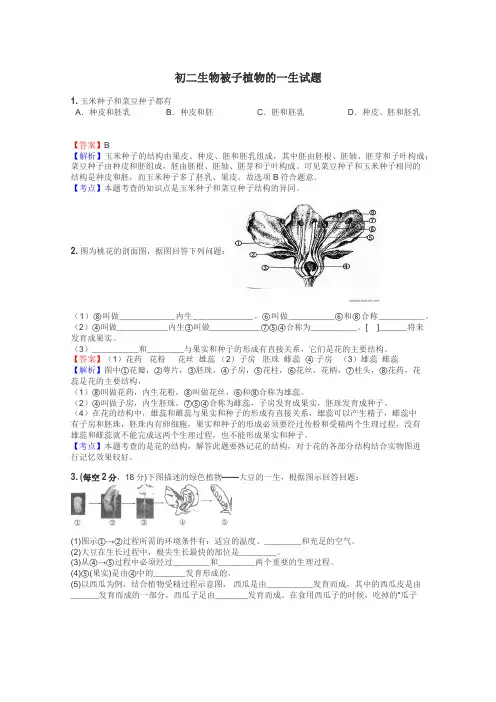 初二生物被子植物的一生试题
