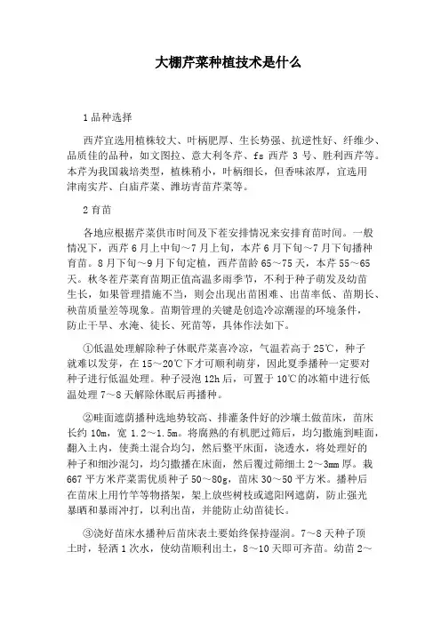 大棚芹菜种植技术是什么