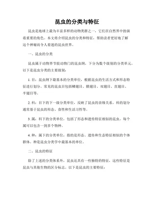 昆虫的分类与特征
