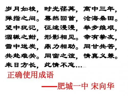 正确使用成语