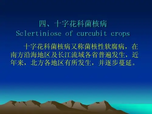 蔬菜病害-讲义2