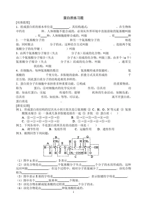 蛋白质练习题