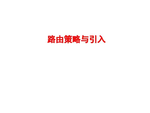 路由策略与引入