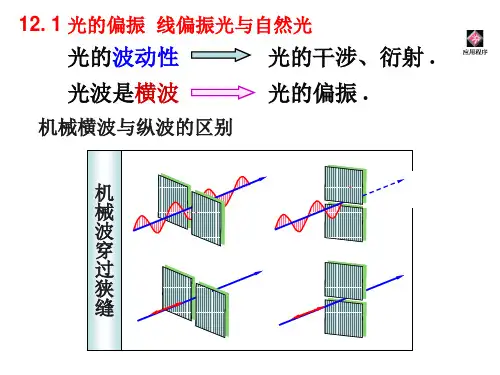第12章光的偏振完整版