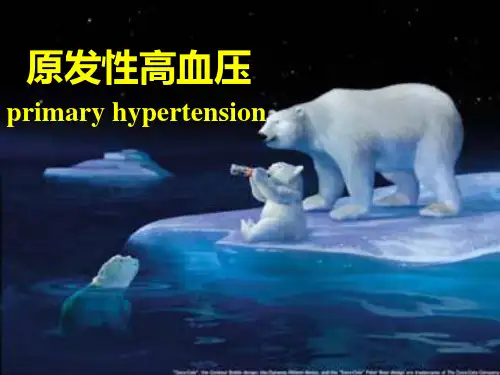原发性高血压的发病机制.ppt