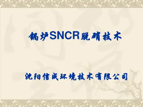 锅炉SNCR脱硝技术