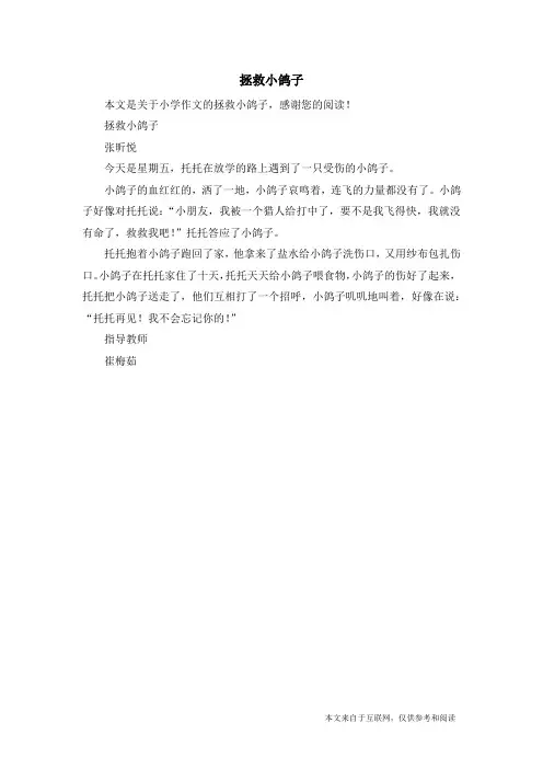 拯救小鸽子_小学作文
