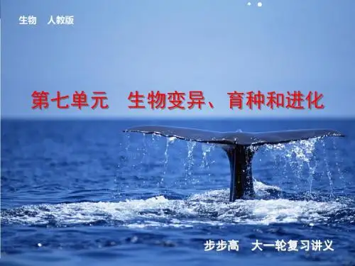 2014高考生物一轮复习第七单元生物变异、育种和进化第七单元第21讲基因突变和基因重组
