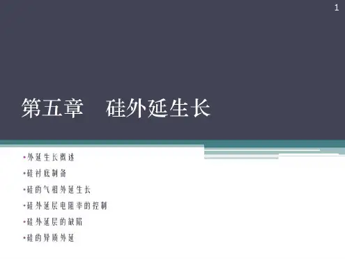 第5章硅外延生长分析