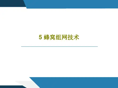 5 蜂窝组网技术96页PPT