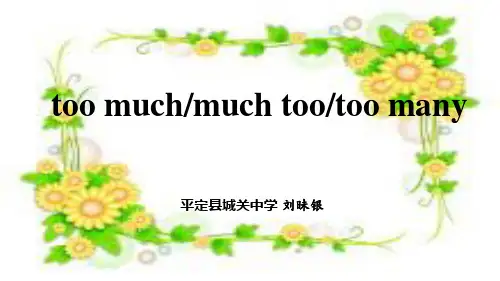 too much,much too,too many的用法
