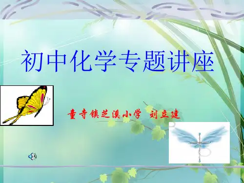 初中化学专题讲座 PPT课件 图文
