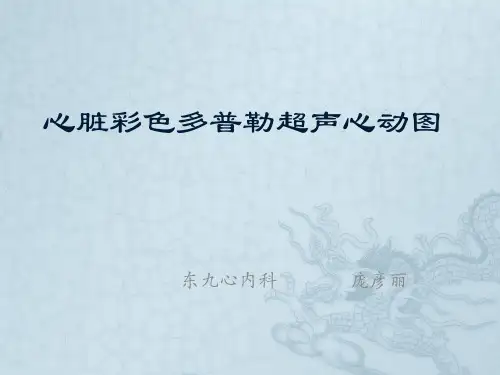 心脏彩色多普勒超声心动图