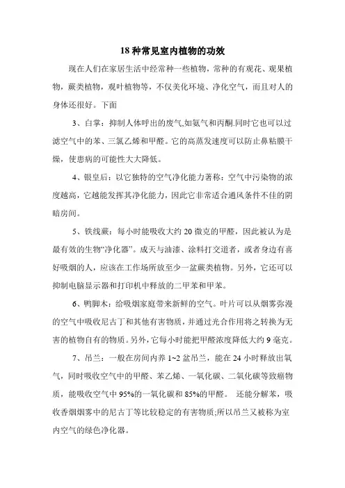 18种常见室内植物的功效