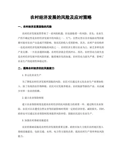 农村经济发展的风险及应对策略