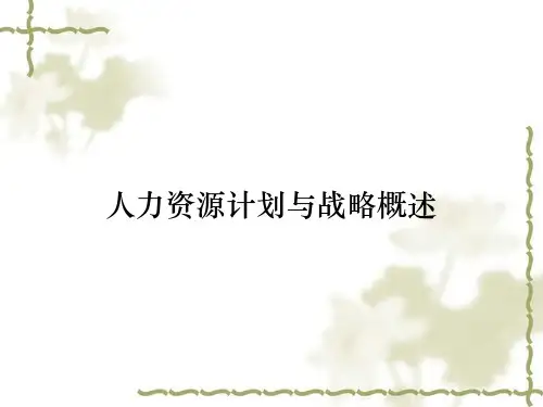 人力资源计划与战略概述