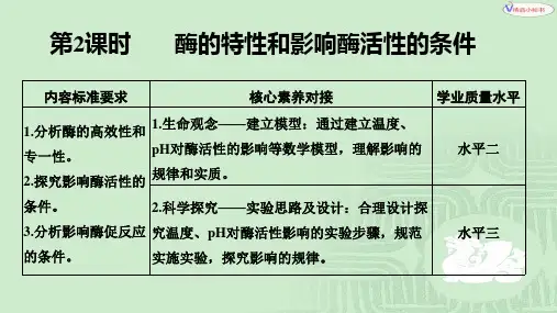 第2课时 酶的特性和影响酶活性的条件