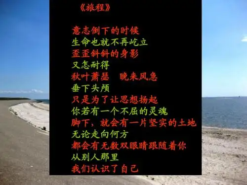 精彩语句积累1