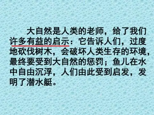 大自然的启示