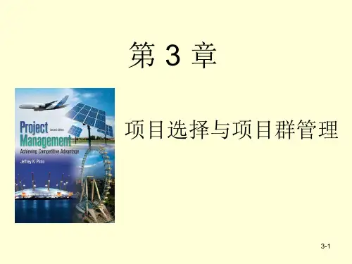第3章 项目选择与项目群管理