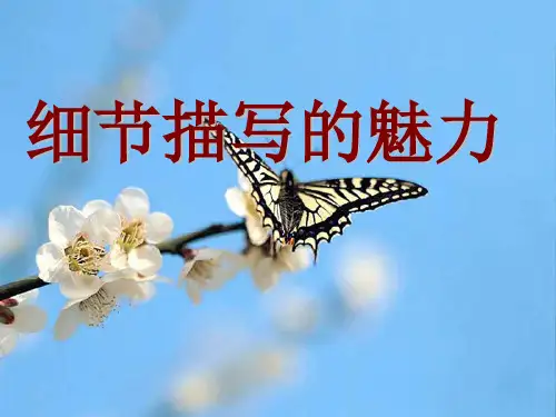 作文-初中作文指导细节描写的魅力ppt优秀PPT