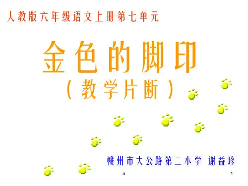 人教版六年级语文上册第七单元