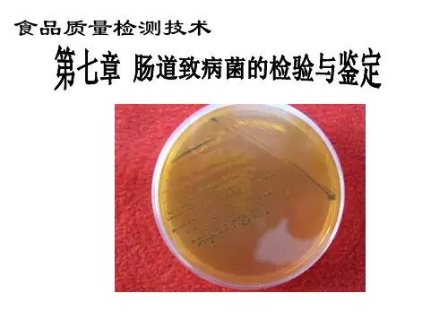 第七章肠道致病菌的检验与鉴定