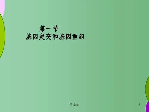 (新课标)高中生物 第5章第1节《基因突变和基因重组》课件15 新人教版必修2