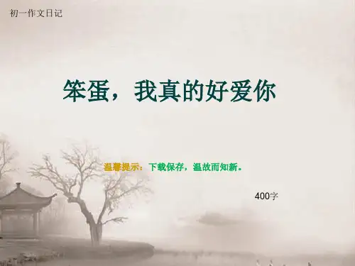 初一作文日记《笨蛋,我真的好爱你》400字