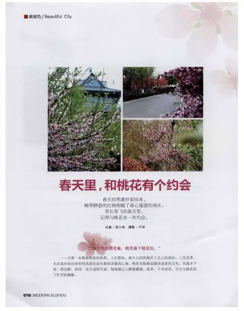 春天里,和桃花有个约会