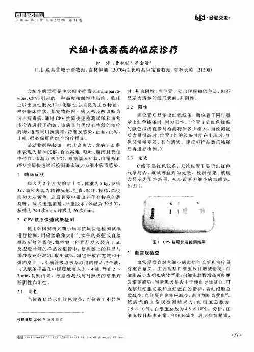 犬细小病毒病的临床诊疗