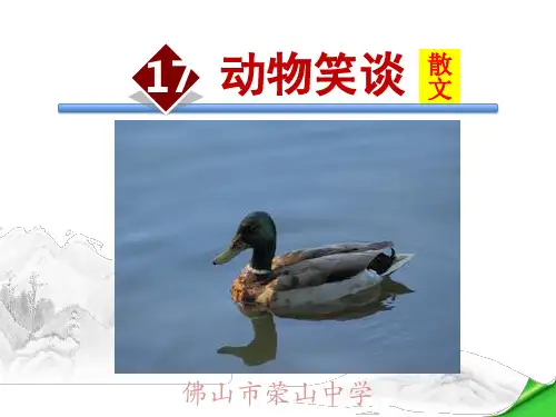 劳伦兹-动物笑谈