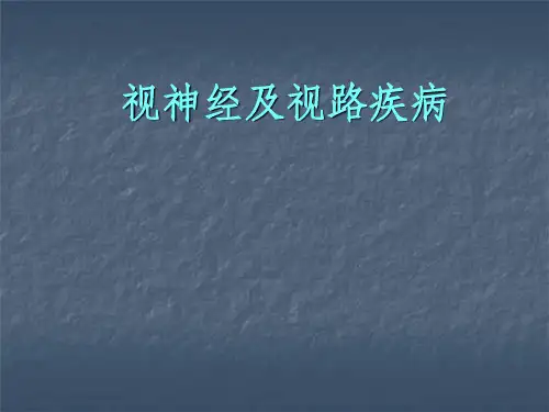 视神经及视路疾病27107