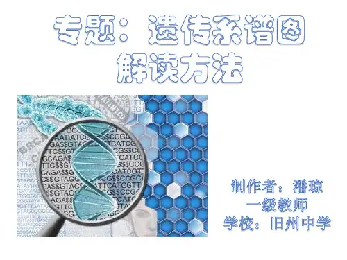 遗传系谱图判断方法ok