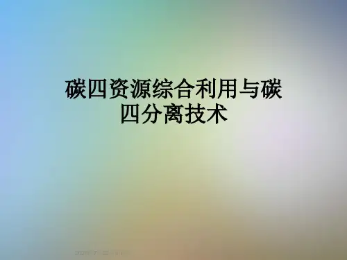 碳四资源综合利用与碳四分离技术