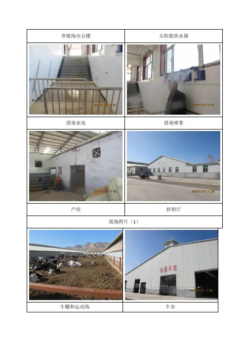有限公司新建规模化奶牛养殖项目竣工环境保护验收监测报告