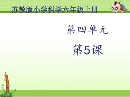 苏教版科学课件：《看星座》课件——第1课时【精品课件】