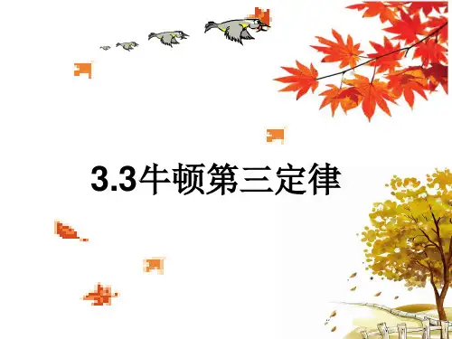【人教版物理】《牛顿第三定律》PPT课件1