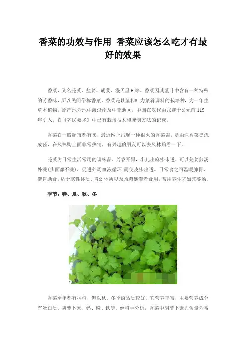 香菜的功效与作用-香菜的做法
