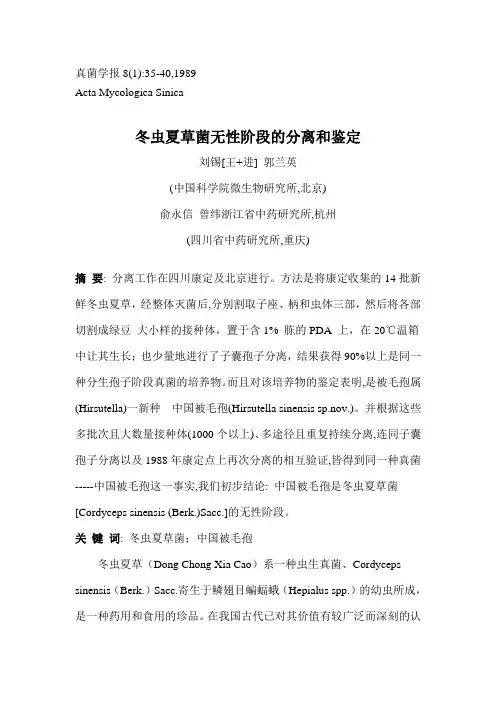 冬虫夏草菌无性阶段的分离和鉴定