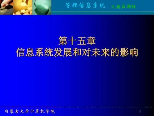 管理信息系统课件15(精品课)